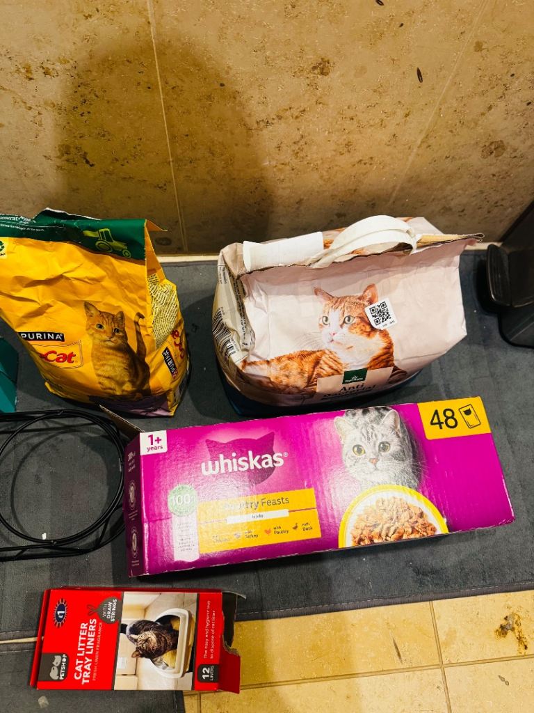 Cat Supplies 