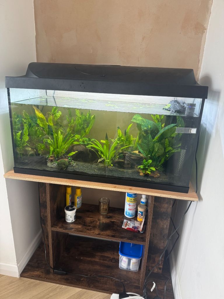 Fish & tank