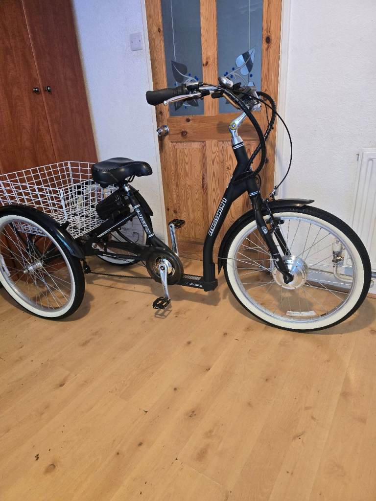 Electric tricycle Mission 