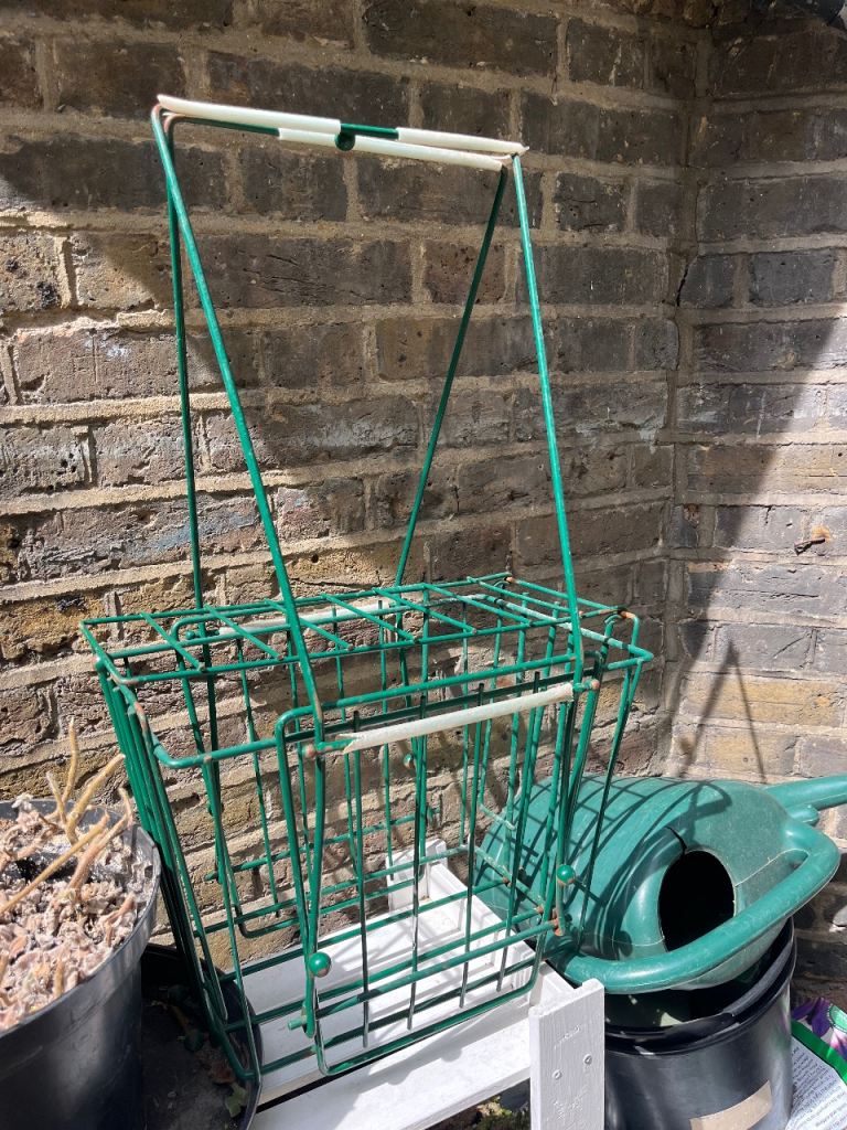 Vintage tennis ball collector 