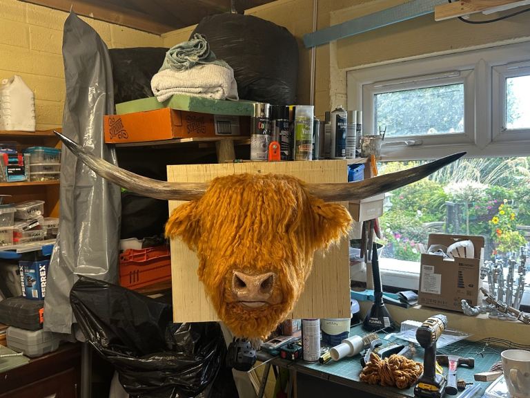 Life-Sized Bespoke Highland Cow Models