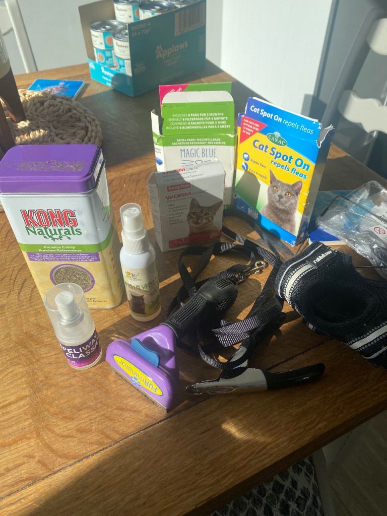 Cat accessories 
