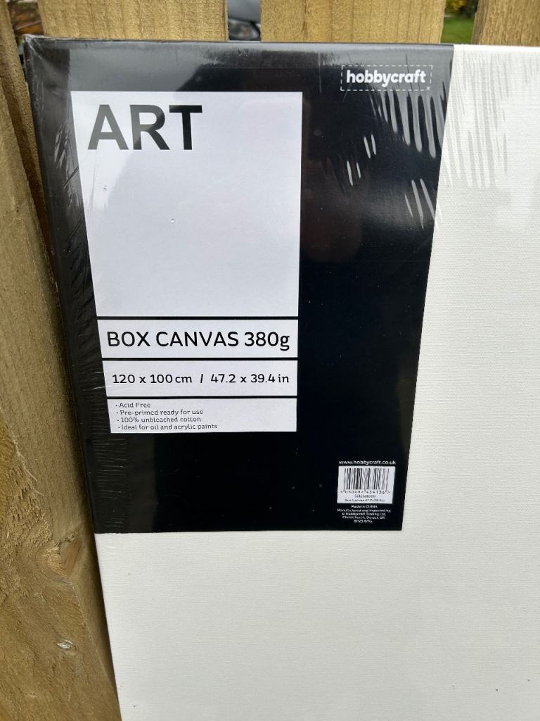 Art canvasses ….. x two 