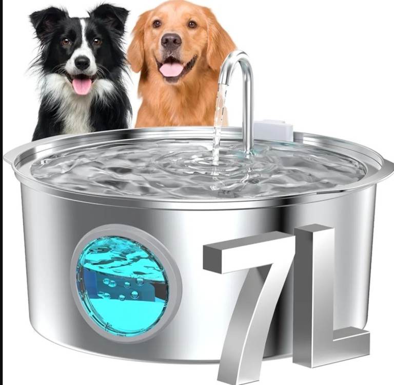 Dog water fountain