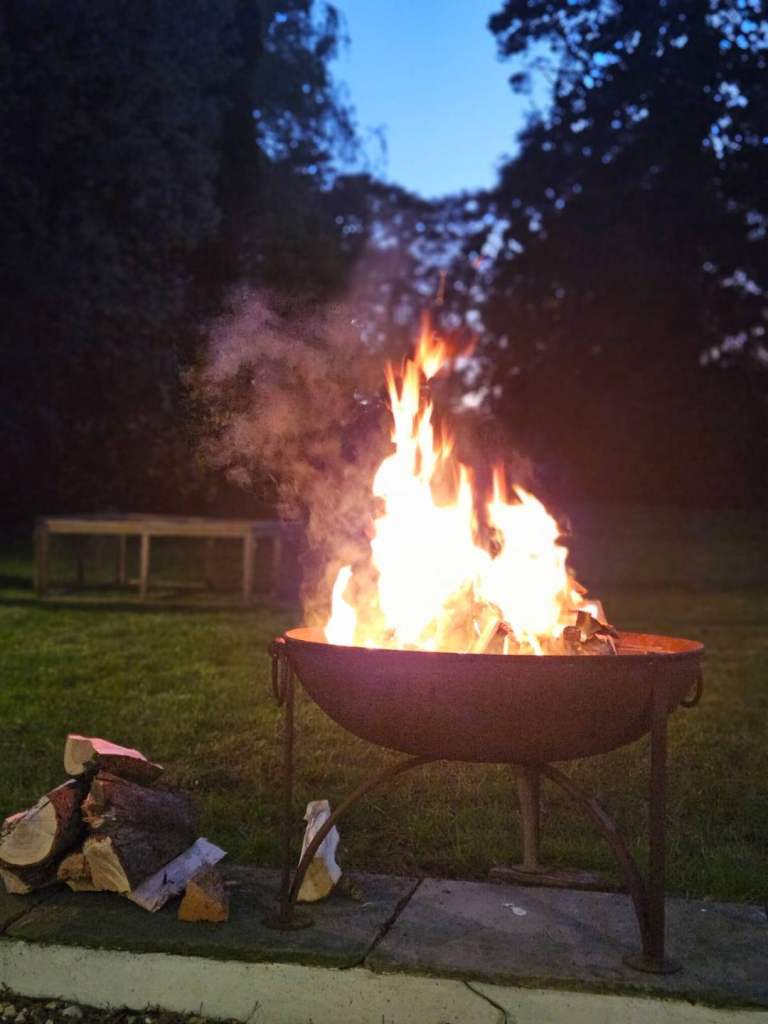Seasoned logs