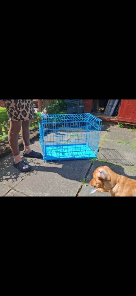 Small dog cage