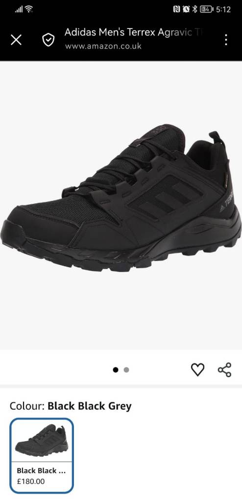 Adidas Terrex Goretex trail running shoes 
