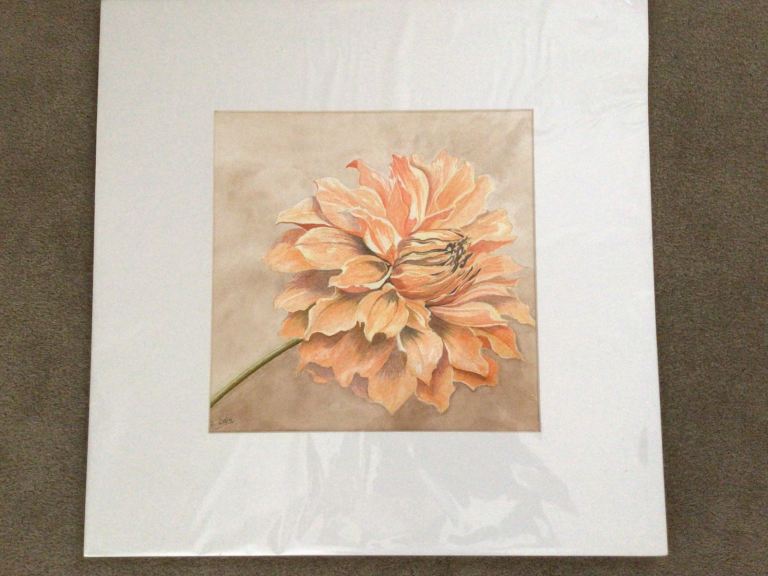 REDUCED - Original watercolour painting - ‘Dahlia’
