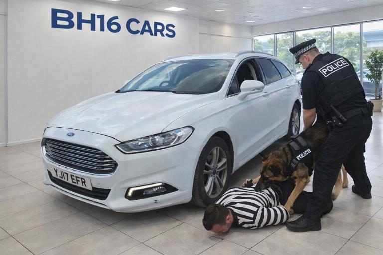 2017 Ford Mondeo 2.0 TDCi ECOnetic Zetec 5dr EX POLICE DOG VAN K9 UNIT LARGE KENNELS FANS ESTATE ...