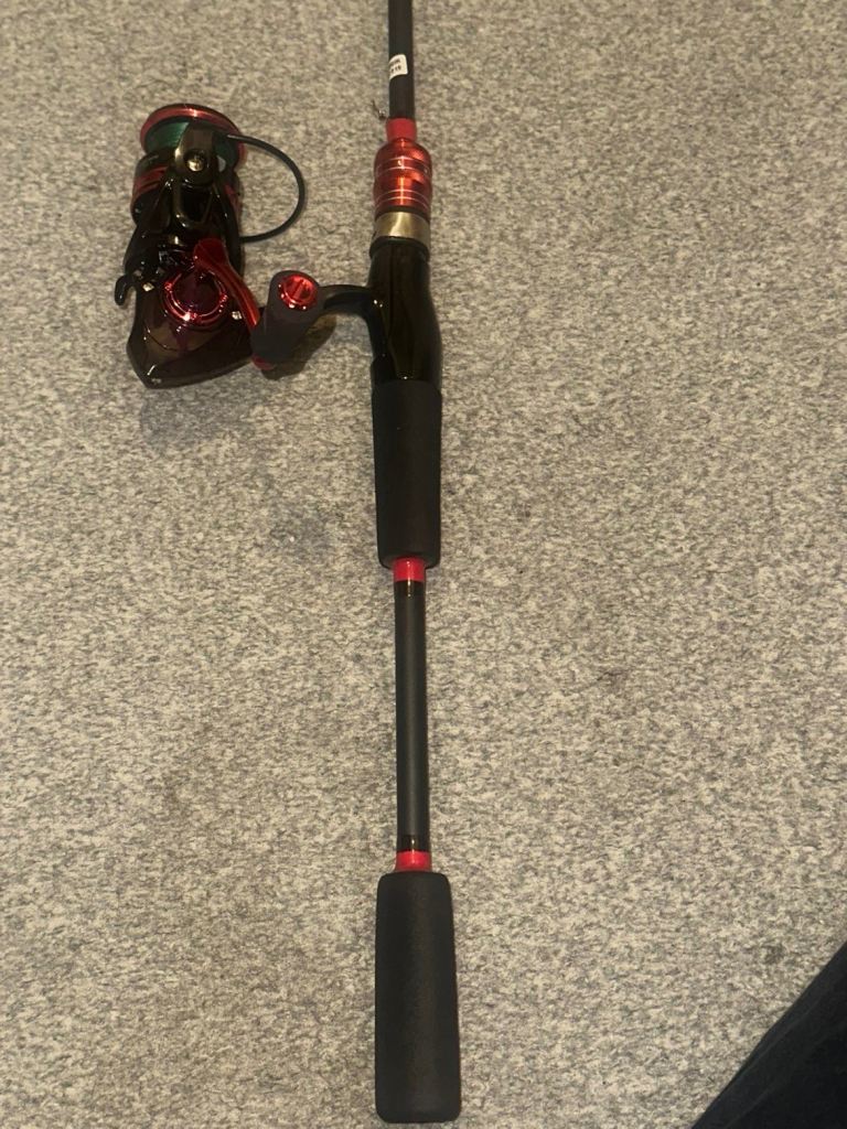 Spinning rod and reel