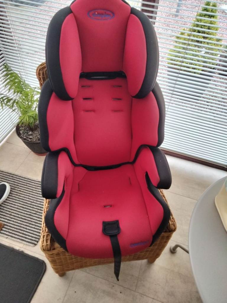 Child Car Seat + Car Seat Protector 