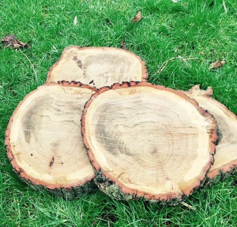 Wedding log slice cake stand rustic centre pieces diy 