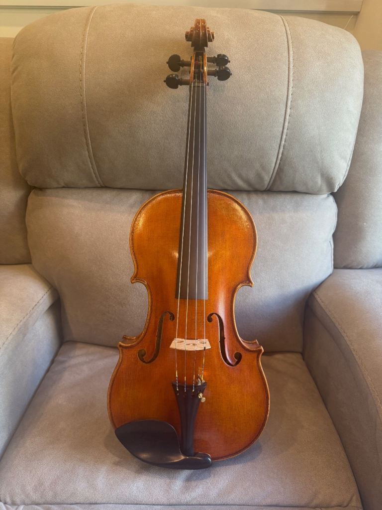 Handmade D Z Strad Model 600 Viola 16″ – Adjustable Case & 2 Bows Battersea, London