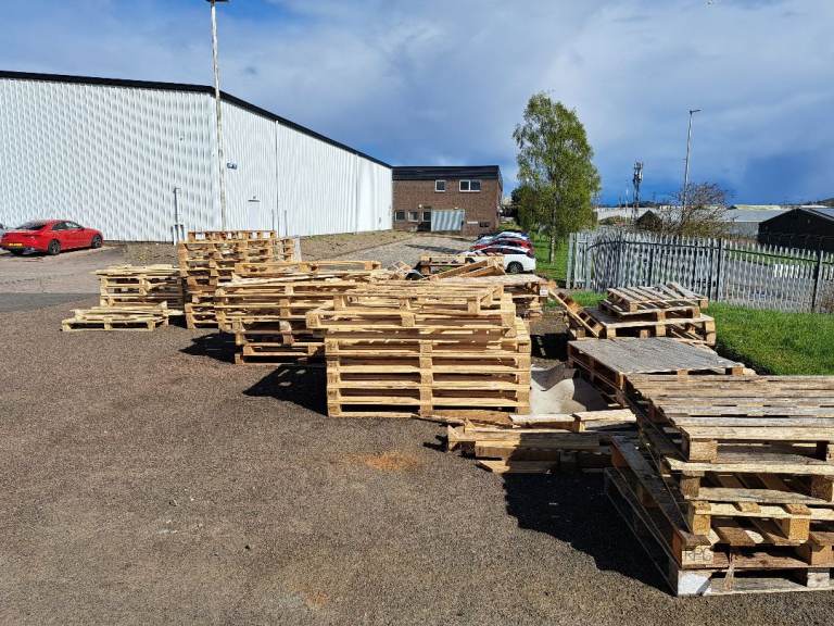 Free Pallets 