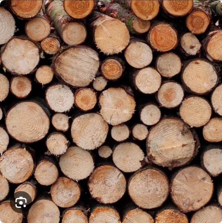 Hardwood Log Wanted!