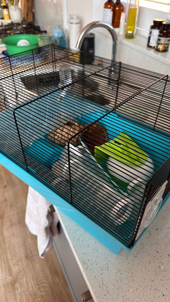 Hamster Cage