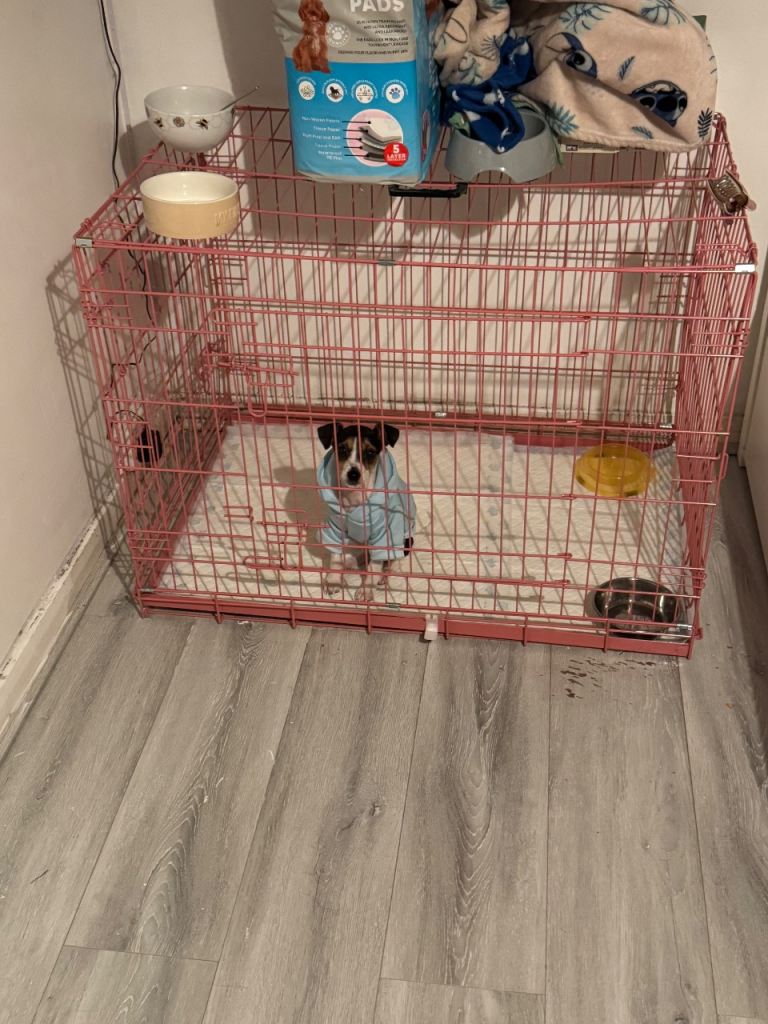 Large pink dog cage