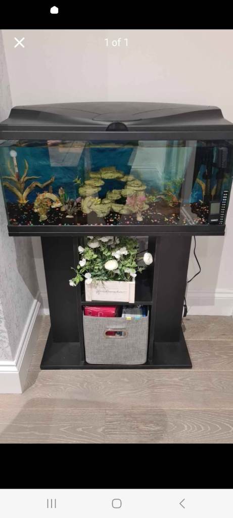Ciano Aqua 80 (74 litres)