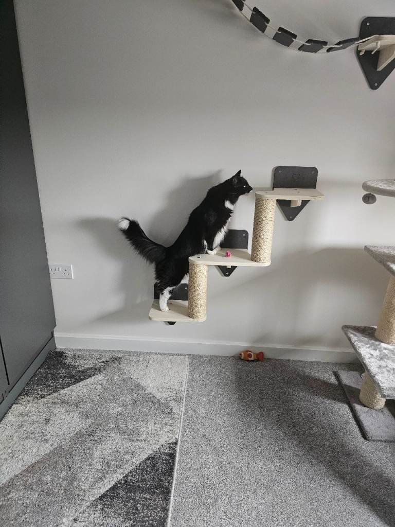 Cat wall tree