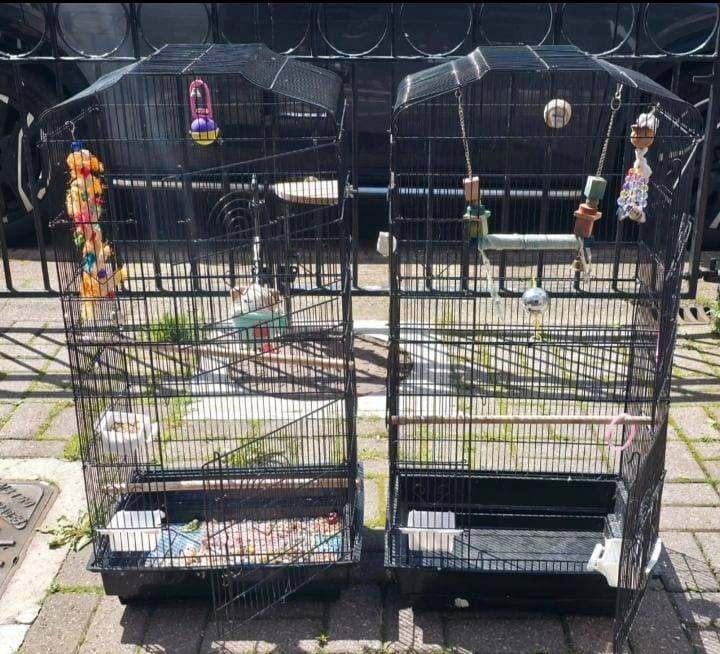 Parakeet Cage