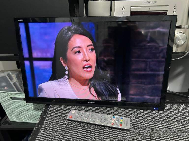 Sharp 24 inch Smart TV / DVD combi Freeview HD television (No stand)