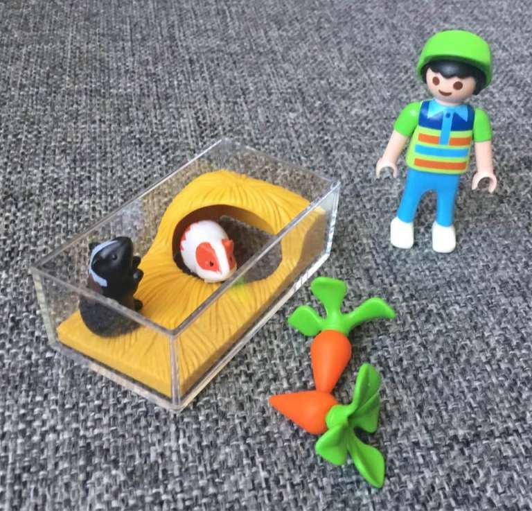 Playmobil   BOY & GUINEA PIGS