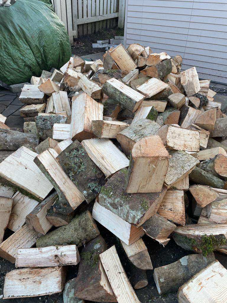 Wanted Free logs and fallen trees wanted