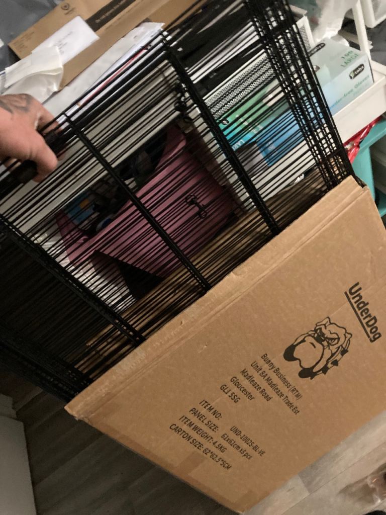 New dog cage 