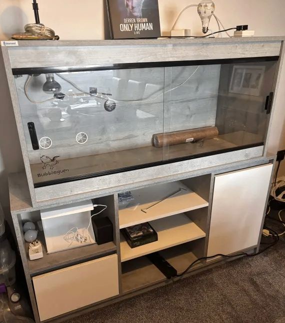 Vivarium with Cabinet Stand – Great Condition