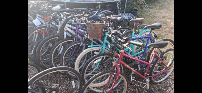 A variety of adult bikes - FREE