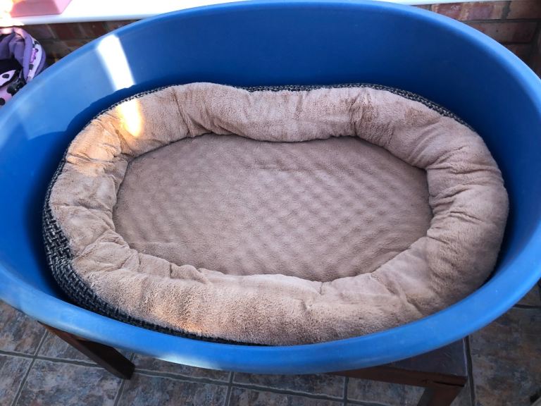 Large dog bed 
