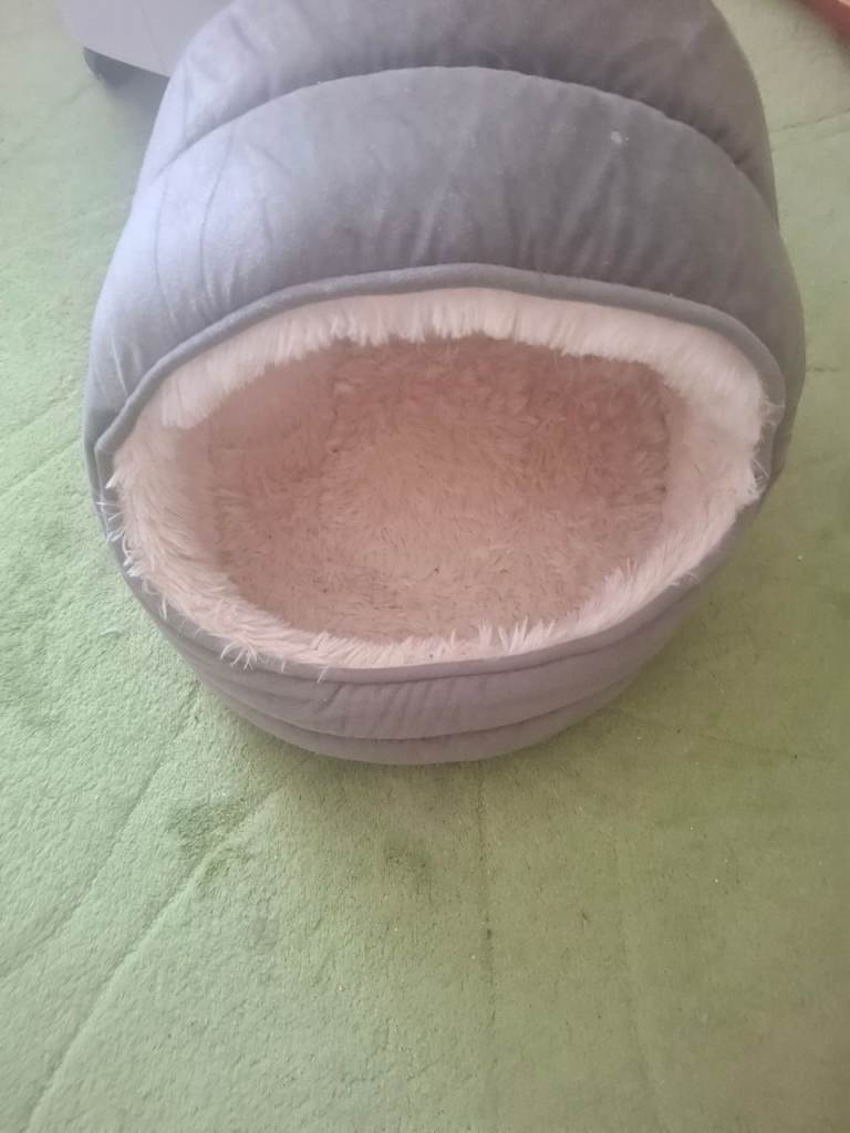 Small cat bed, good for kittens