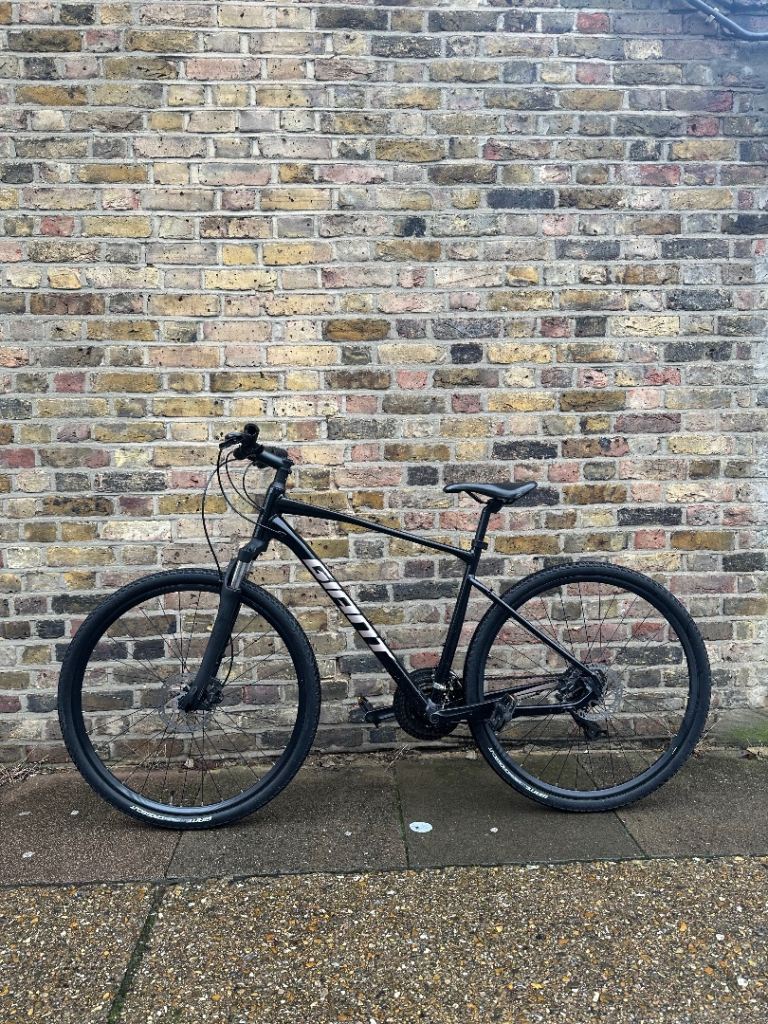 2023 Giant Roam 3 Size Medium Hybrid Bike 