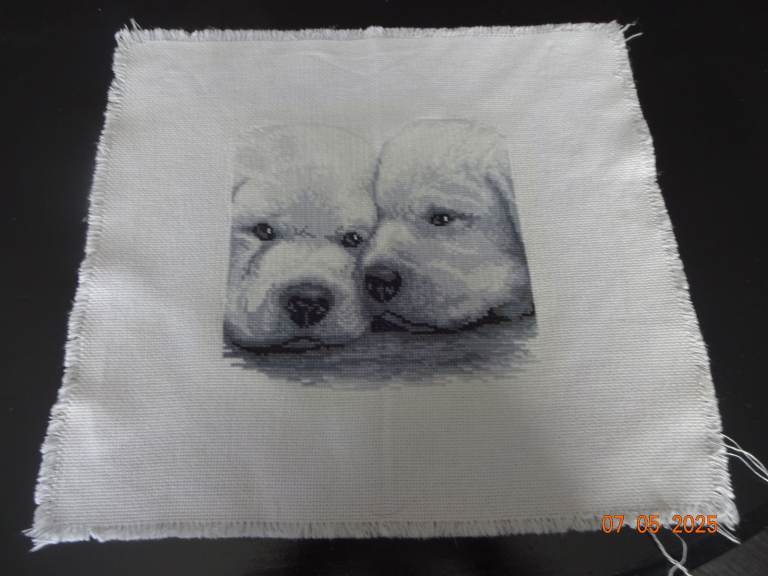 Two Labrador Puppies in Cross Stitch - Unframed