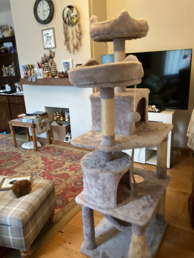 Cat Tree