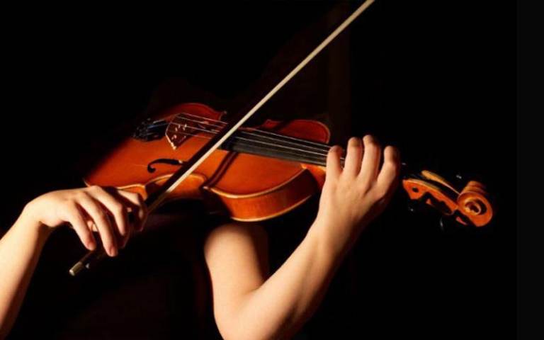 online violin lessons with professional