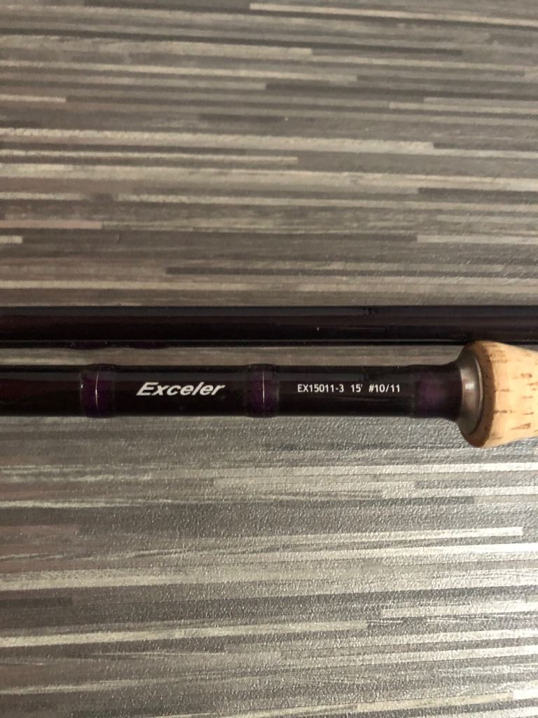 Daiwa salmon rod/vision reel 