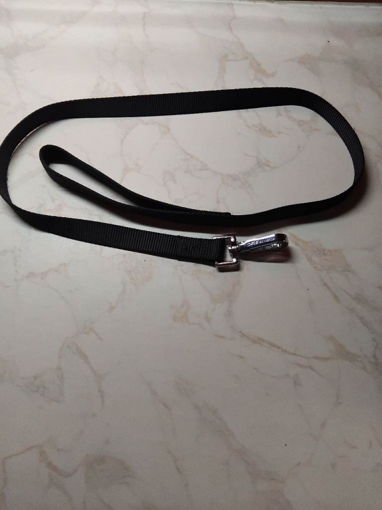 Dog lead 