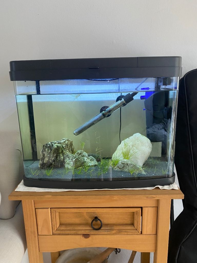 40L Tropical Fish tank and kit