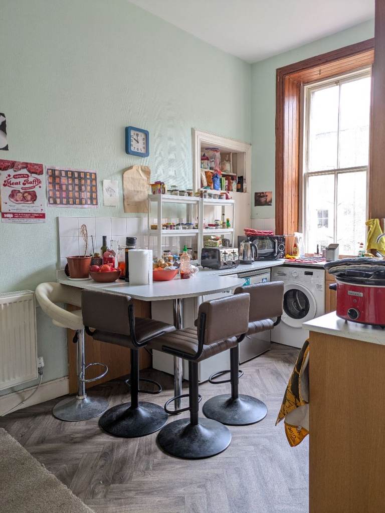 Room available in queer flat (Bruntsfield)