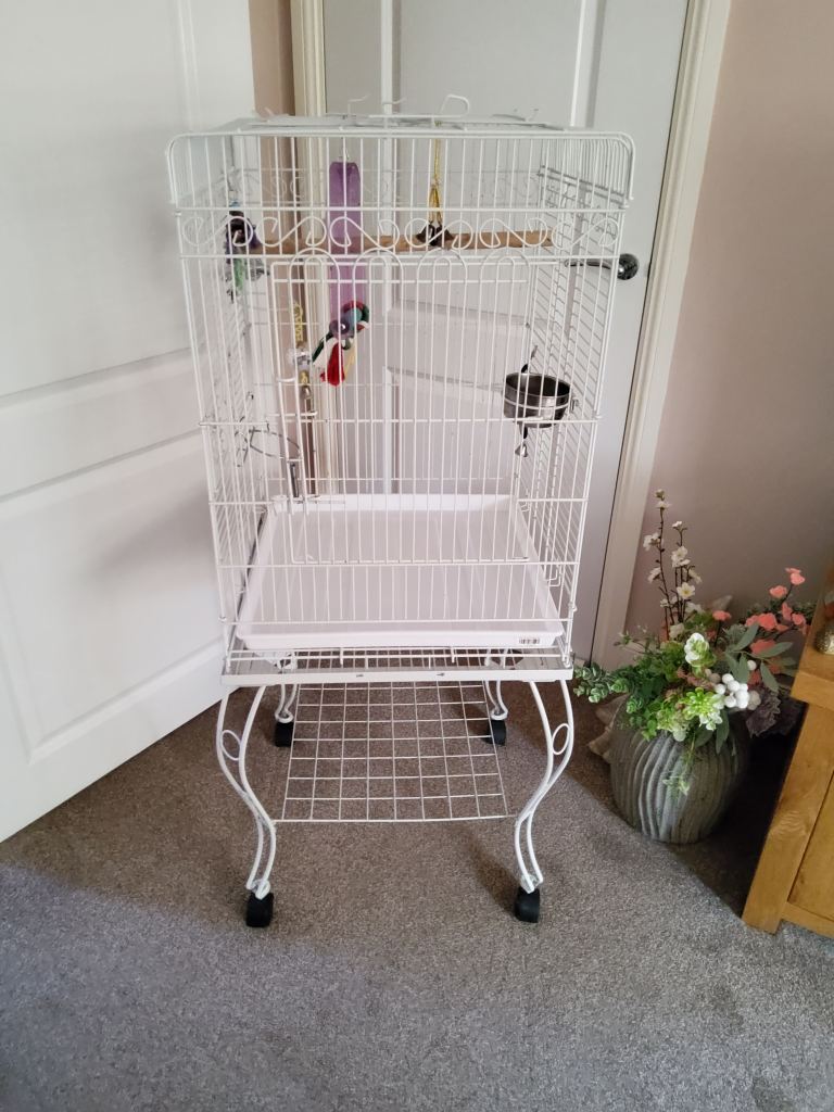 Bird cage 
