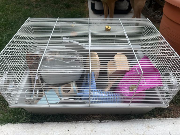 Hamster cage 