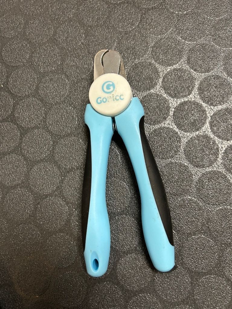 Dog nail cutters. 