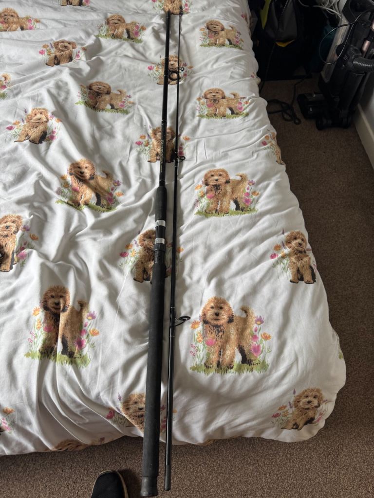 Zensorflex Fishing Rod – 10ft Good Condition