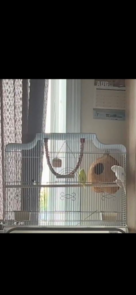 Cage