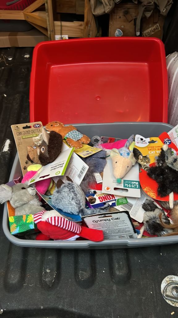 Cat toys ,collars and litter trays for sale 