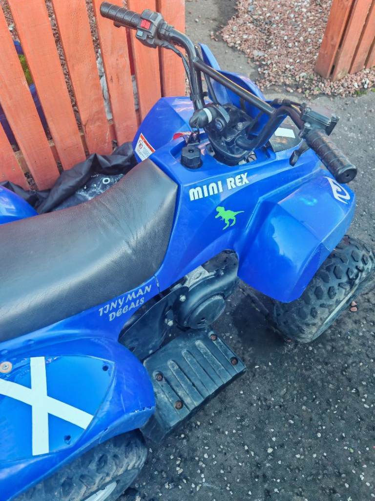 Mini Rex 50cc Quad Bike 