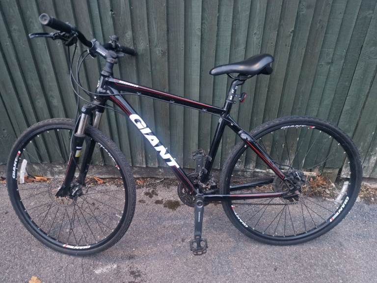 image for Giant Roam 2