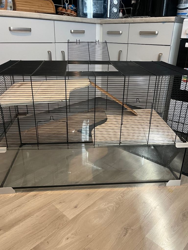 Gerbil cage