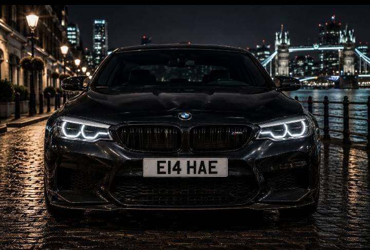 E14 HAE The Perfect ELAHE Private Plate